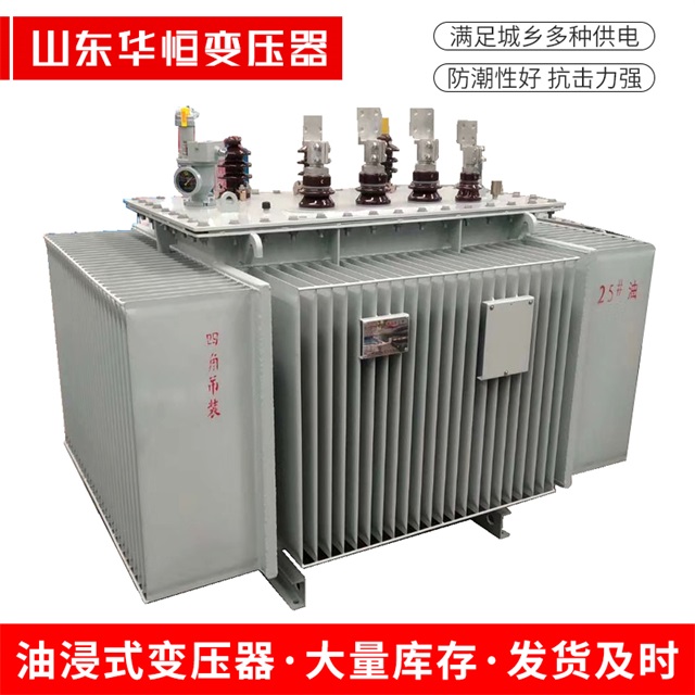 S13-10000/35长白长白长白电力变压器厂家
